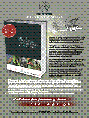 brochure for book on insects